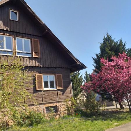 A La Vieille Faience Apartment Wintzenheim Exterior foto