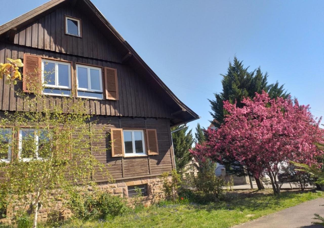 A La Vieille Faience Apartment Wintzenheim Exterior foto